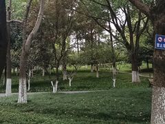 -范蠡湖公园