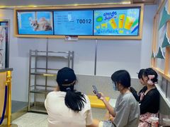 -伏小桃(雁塔MOMOPARK店)