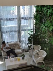 -苗医生草本科技祛痘