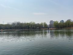 -WhaleSports户外水上运动俱乐部(朝阳公园店)