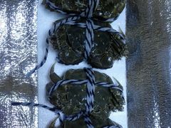 -乡乐园蟹庄·阳澄湖农家乐