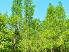 -西溪天堂·悦居