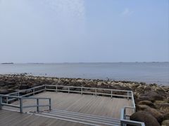 -上海吴淞炮台湾国家湿地公园