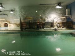 -北戴河圣蓝海洋公园