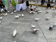 -万达广场(广州番禺店)
