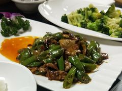 -丁老爷子苏香圆
