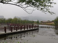 -苏州太湖国家湿地公园