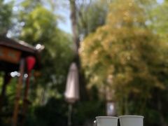 -西安国际创新人才交流中心•药浴温泉
