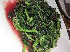 -兴圆苑