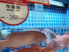 -徐记海鲜(大明宫|北二环店)