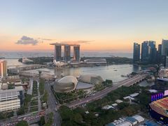 -新加坡瑞士史丹福酒店