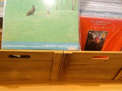 -树懒黑胶唱片店(中山路店)