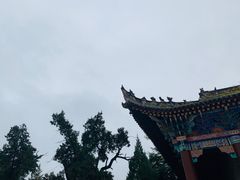 -黄帝陵