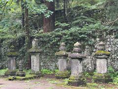 -天目山大树王景区