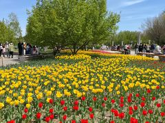 -长春公园(普阳街道)