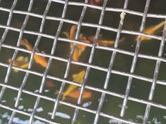 -湖洞水自然风景区