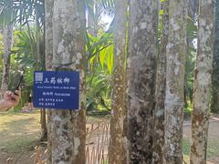 -中国科学院西双版纳热带植物园