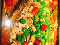 海鲈鱼-炉鱼(萧山万象汇店)