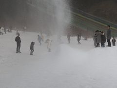 -梦幻奥陶纪景区