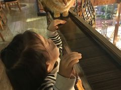 -more than meow吴止猫主题餐厅(承德 中船汇店)