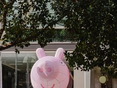 -金光华广场