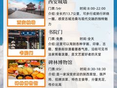 -大雁塔北广场音乐喷泉