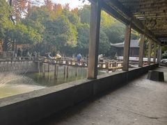 -峙山公园