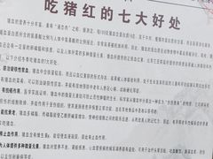 -阿一猪红汤(总店)