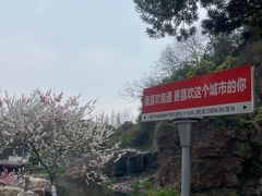 -狼山风景名胜区