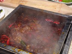 -二荆条·蜀鲜汇城市森林火锅