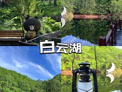 -洛阳白云山景区