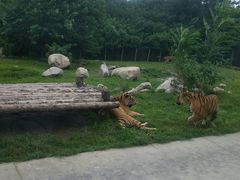 -西安秦岭野生动物园