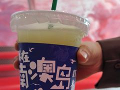 -南澳岛打卡果汁冰公司