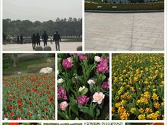 android_upload_pic-上海鲜花港