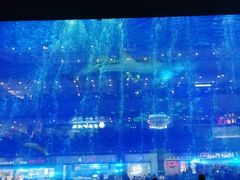 -成都浩海立方海洋公园