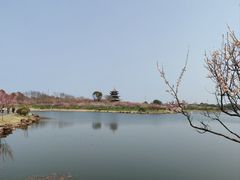 -上海海湾国家森林公园