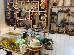 -Rabbit Cafe私房西餐甜点咖啡(栖霞路店)