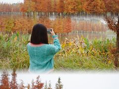 -白鹭湾湿地公园