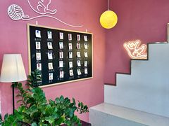 -喵园·猫主题咖啡厅·撸猫·猫咖(国贸店)