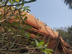-西双版纳傣族园