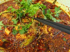 -胖大姐黄辣丁鱼庄(新津店)