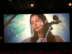 -大地影院(上海南汇店)