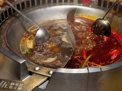 -辣伍鲜毛肚老火锅(元一店)