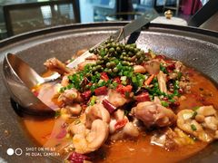 -院里寻菜·精致庭院菜(观沙岭店)