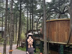 -洛阳白云山景区