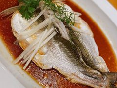 -宁波柏悦酒店·钱湖渔港