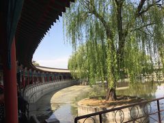 -东方巨龟苑景区