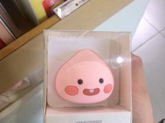 -KAKAO FRIENDS(弘大店)