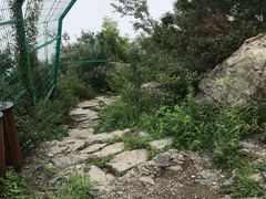 -阳台山自然风景区