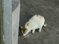 -吾悦广场(南京鼓楼店)